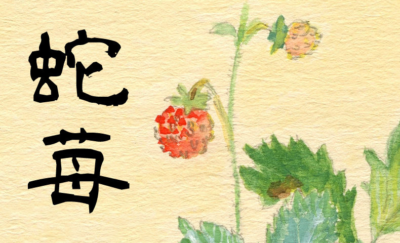 鬼平犯科帳：第90話『蛇苺』のみどころ