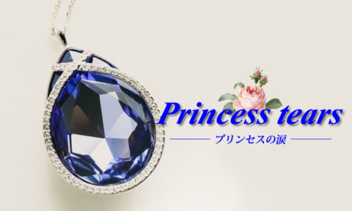 ゴルゴ13:第540話『プリンセスの涙』のみどころ