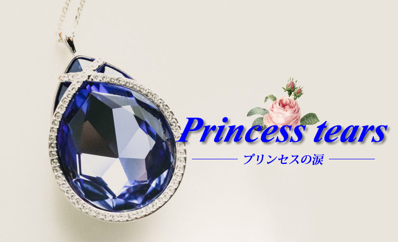 ゴルゴ13：第540話『プリンセスの涙』のみどころ