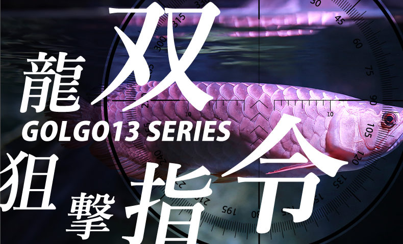 ゴルゴ13：増刊第93話『双龍狙撃指令』のみどころ