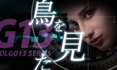 ゴルゴ13：第618話『鳥を見た』のみどころ
